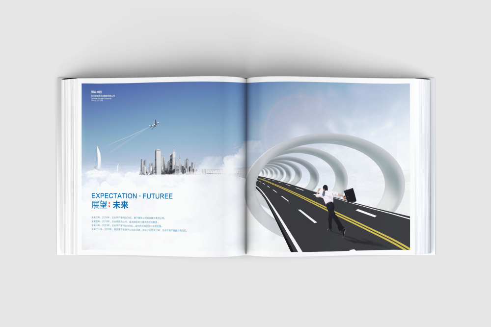 元宝区画册设计